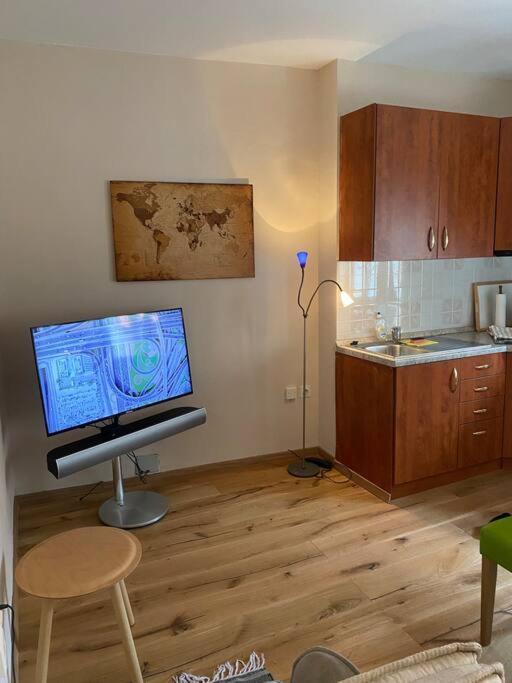 Tartini - Private Roof Terrace - Self Check-In Apartman Piran Kültér fotó